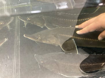 いきもの探検隊上尾に投稿された画像（2023/12/13）