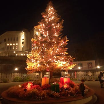 西武園ゆうえんちに投稿された画像（2023/12/13）