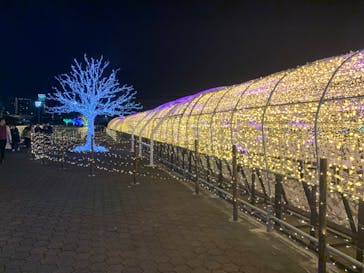 東京メガイルミに投稿された画像（2023/12/13）