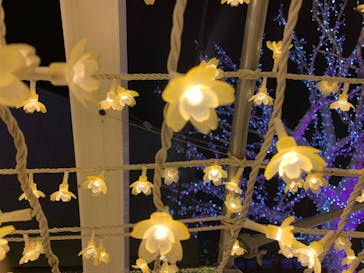 東京メガイルミに投稿された画像（2023/12/13）