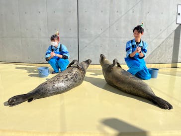 島根県立 しまね海洋館に投稿された画像（2023/12/13）