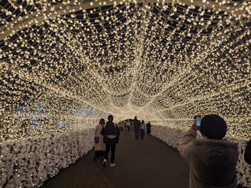 東京メガイルミに投稿された画像（2023/12/13）