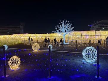 東京メガイルミに投稿された画像（2023/12/14）