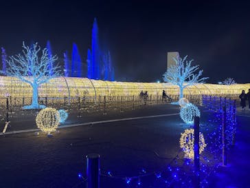 東京メガイルミに投稿された画像（2023/12/14）