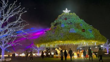 東京メガイルミに投稿された画像（2023/12/14）