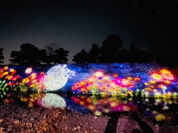 NAKED meets 二条城 2025 観月に投稿された画像（2023/12/14）