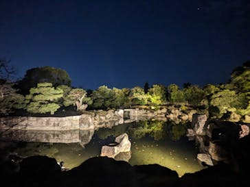 NAKED meets 二条城 2025 観月に投稿された画像（2023/12/14）