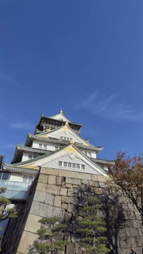 大阪城天守閣に投稿された画像（2023/12/14）