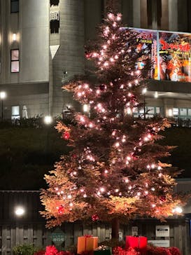 西武園ゆうえんちに投稿された画像（2023/12/14）