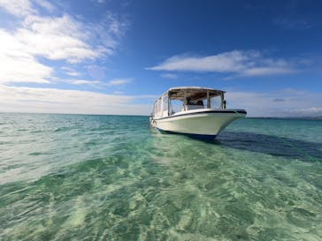 石垣島 ADVENTURE PiPi（イシガキジマアドベンチャーピピ）に投稿された画像（2023/12/14）