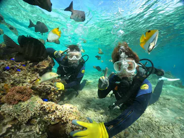 武藤潜水に投稿された画像（2023/12/14）