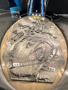 福井県立恐竜博物館に投稿された画像（2023/12/14）