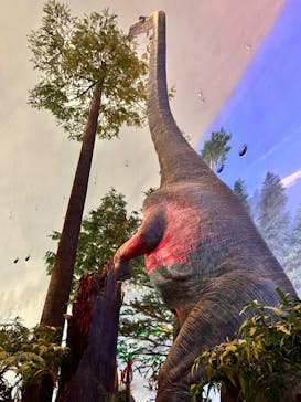 福井県立恐竜博物館に投稿された画像（2023/12/14）