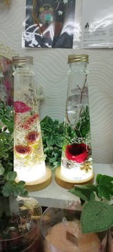 ずこうしつ〜sugamo〜に投稿された画像（2023/12/14）