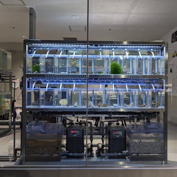 AOAO SAPPOROに投稿された画像（2023/12/14）