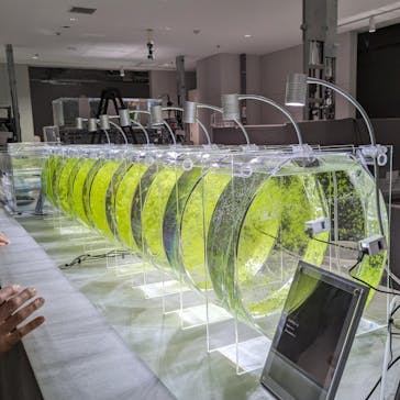 AOAO SAPPOROに投稿された画像（2023/12/14）