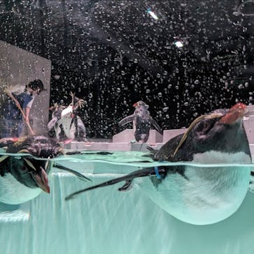 AOAO SAPPOROに投稿された画像（2023/12/14）