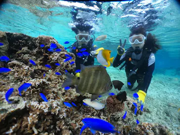 武藤潜水に投稿された画像（2023/12/14）