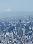 東京スカイツリーに投稿された画像（2023/12/14）