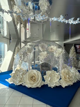 梅田スカイビル・空中庭園展望台に投稿された画像（2023/12/14）