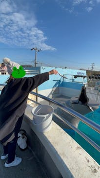 南知多ビーチランド＆南知多おもちゃ王国に投稿された画像（2023/12/14）