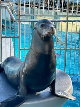 南知多ビーチランド＆南知多おもちゃ王国に投稿された画像（2023/12/14）