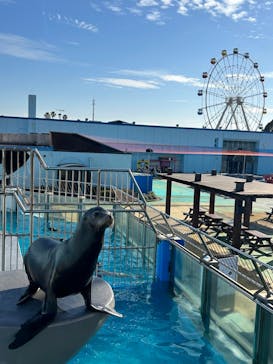 南知多ビーチランド＆南知多おもちゃ王国に投稿された画像（2023/12/14）