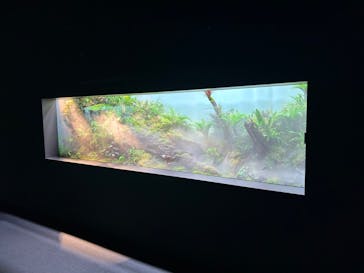 AOAO SAPPOROに投稿された画像（2023/12/14）