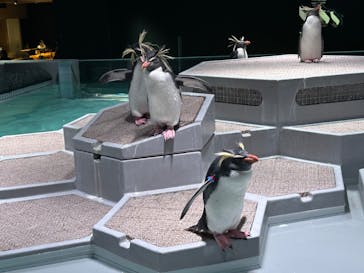 AOAO SAPPOROに投稿された画像（2023/12/14）