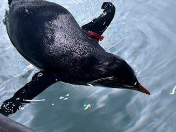 AOAO SAPPOROに投稿された画像（2023/12/14）