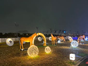 東京メガイルミに投稿された画像（2023/12/14）