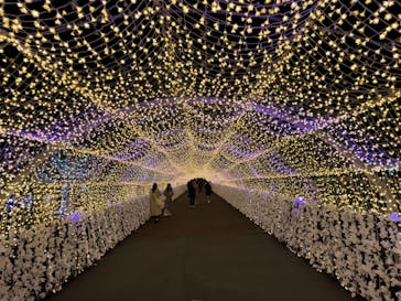 東京メガイルミに投稿された画像（2023/12/14）