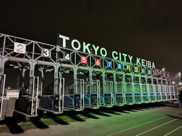 東京メガイルミに投稿された画像（2023/12/14）