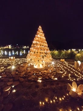 いばらきフラワーパークに投稿された画像（2023/12/14）