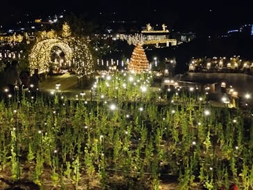 いばらきフラワーパークに投稿された画像（2023/12/14）