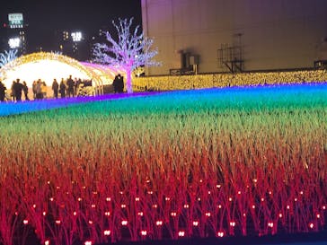 東京メガイルミに投稿された画像（2023/12/14）