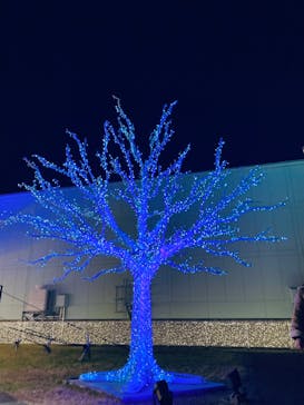 東京メガイルミに投稿された画像（2023/12/14）