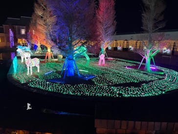 神戸イルミナージュに投稿された画像（2023/12/14）