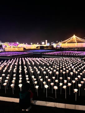 東京メガイルミに投稿された画像（2023/12/14）