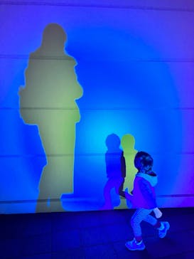 東京メガイルミに投稿された画像（2023/12/14）