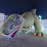 鹿児島イルミナージュに投稿された画像（2023/12/15）