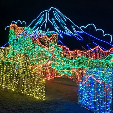 鹿児島イルミナージュに投稿された画像（2023/12/14）