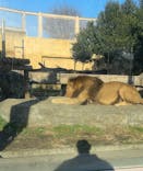 東武動物公園に投稿された画像（2023/12/15）