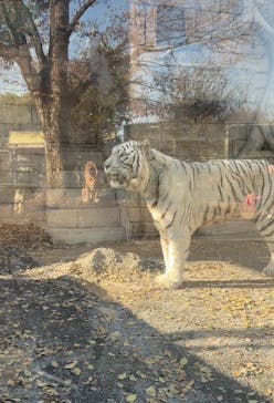 東武動物公園に投稿された画像（2023/12/14）