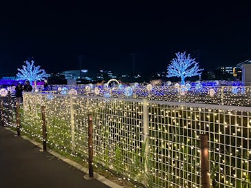 東京メガイルミに投稿された画像（2023/12/14）