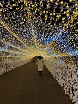 東京メガイルミに投稿された画像（2023/12/14）