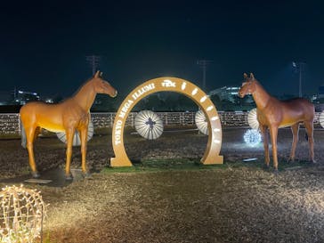 東京メガイルミに投稿された画像（2023/12/14）