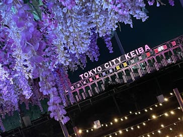 東京メガイルミに投稿された画像（2023/12/14）