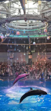 マクセル アクアパーク品川に投稿された画像（2023/12/15）