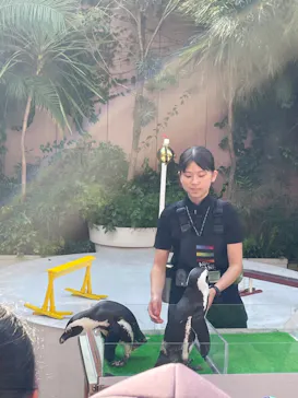 マクセル アクアパーク品川に投稿された画像（2023/12/15）